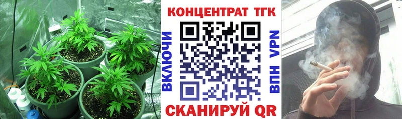 ТГК Wax  Азнакаево 