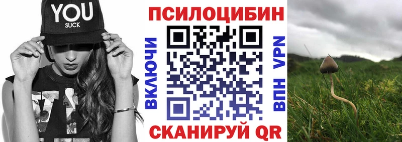 Галлюциногенные грибы Magic Shrooms блэк спрут tor Азнакаево купить наркоту