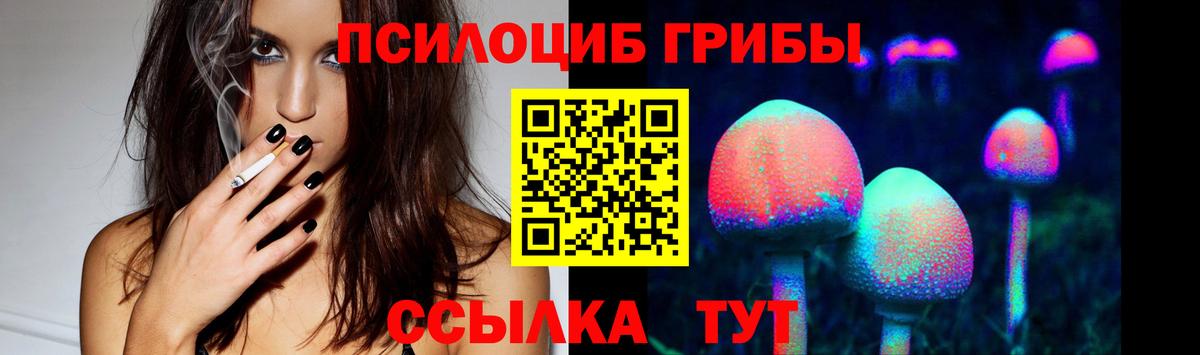 Псилоцибиновые грибы GOLDEN TEACHER Азнакаево