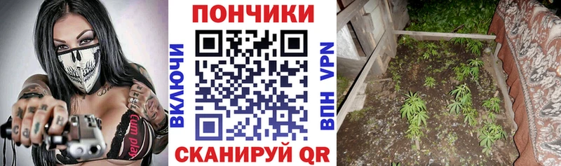 сколько стоит  Азнакаево  Канабис тримм 
